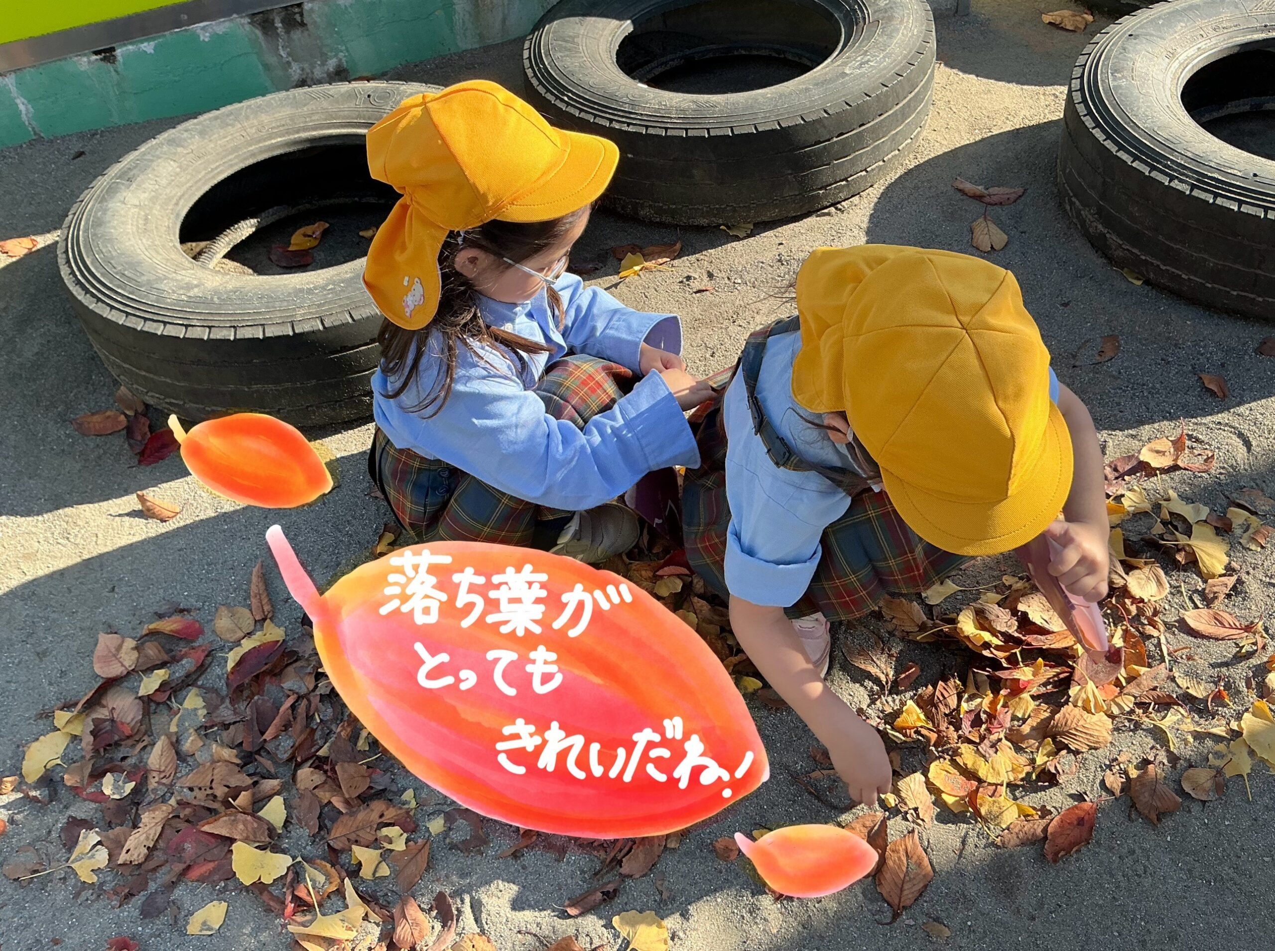 落ち葉がとってもきれいだね🍂