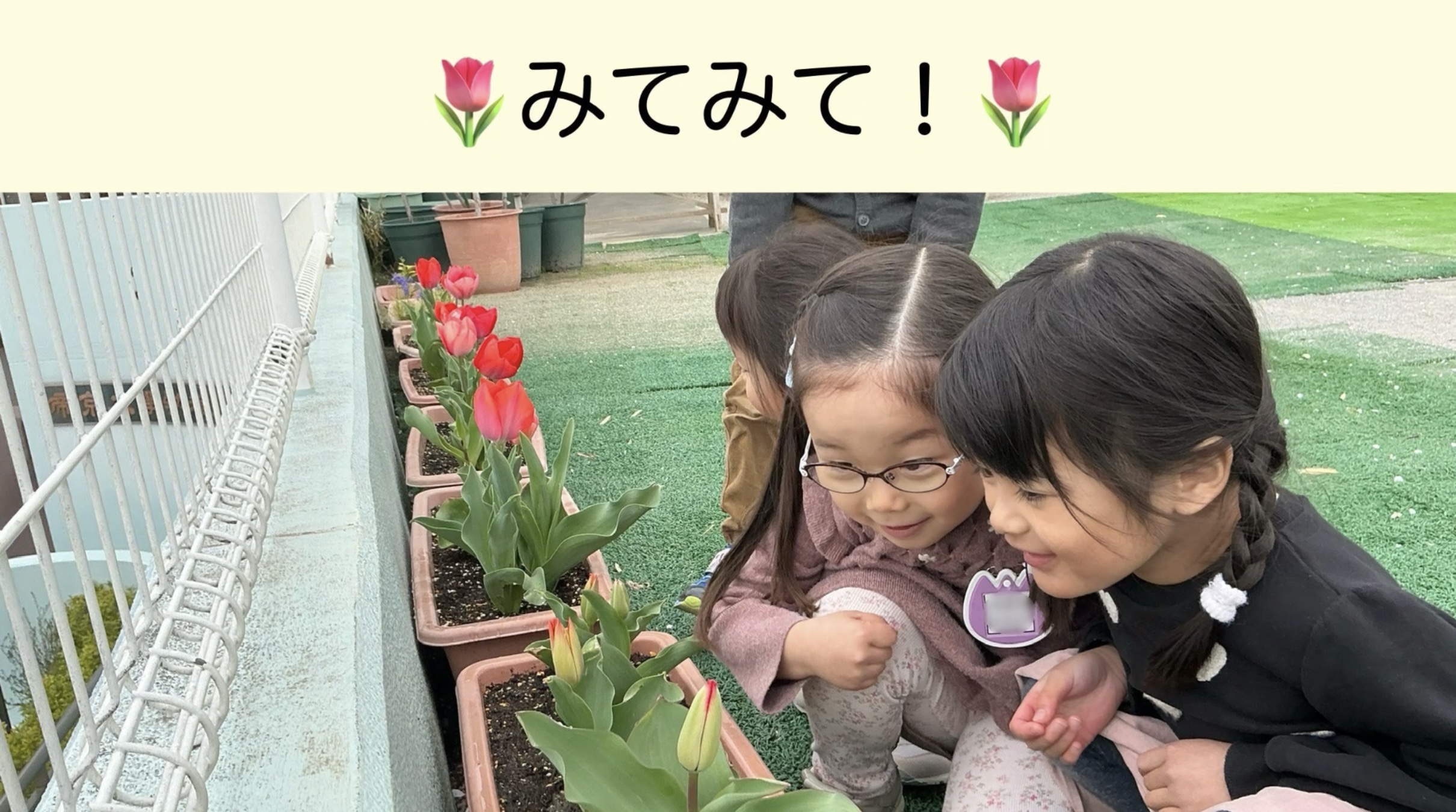 みてみて🌷