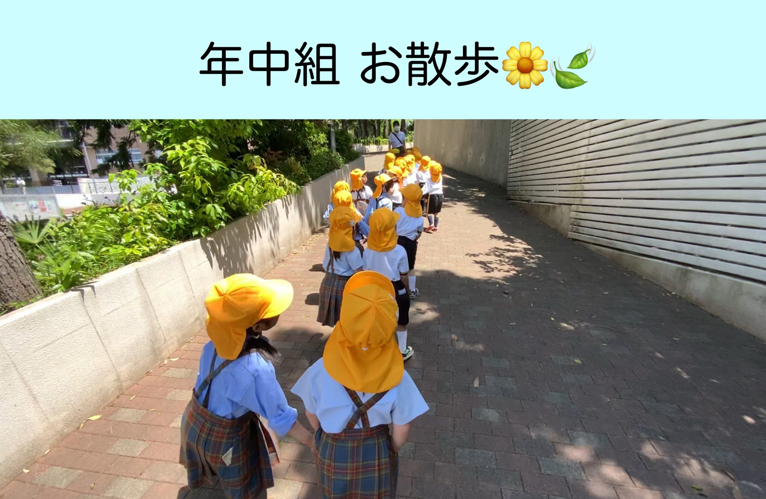 年中組　おさんぽ