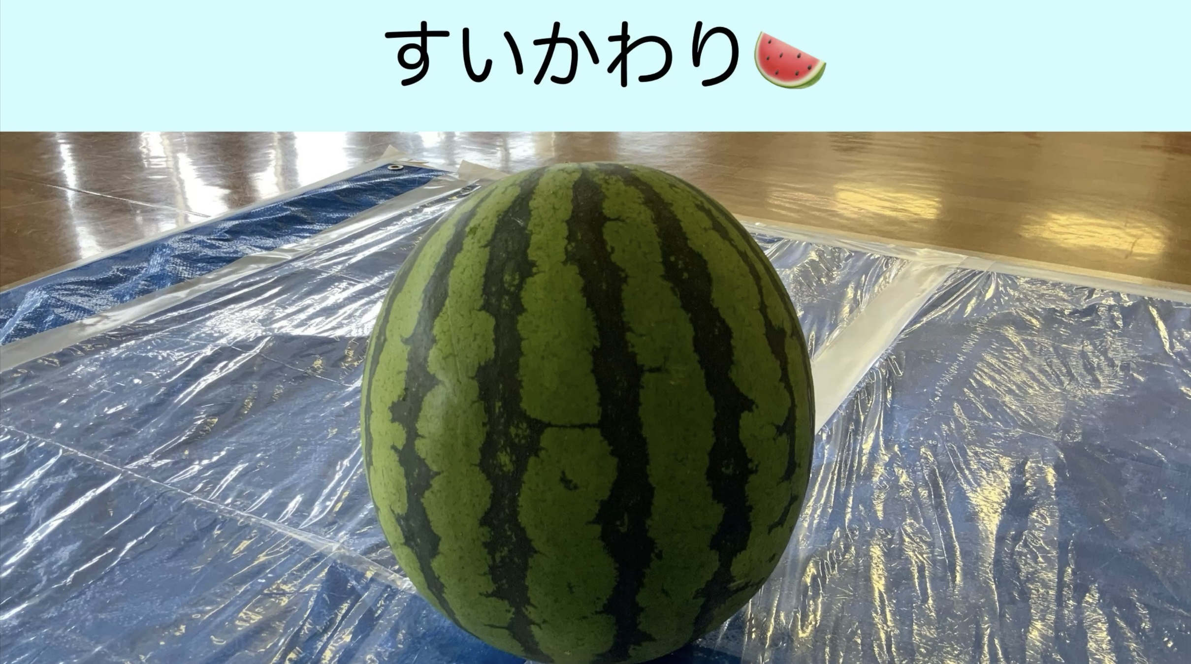 ꡻Sä??