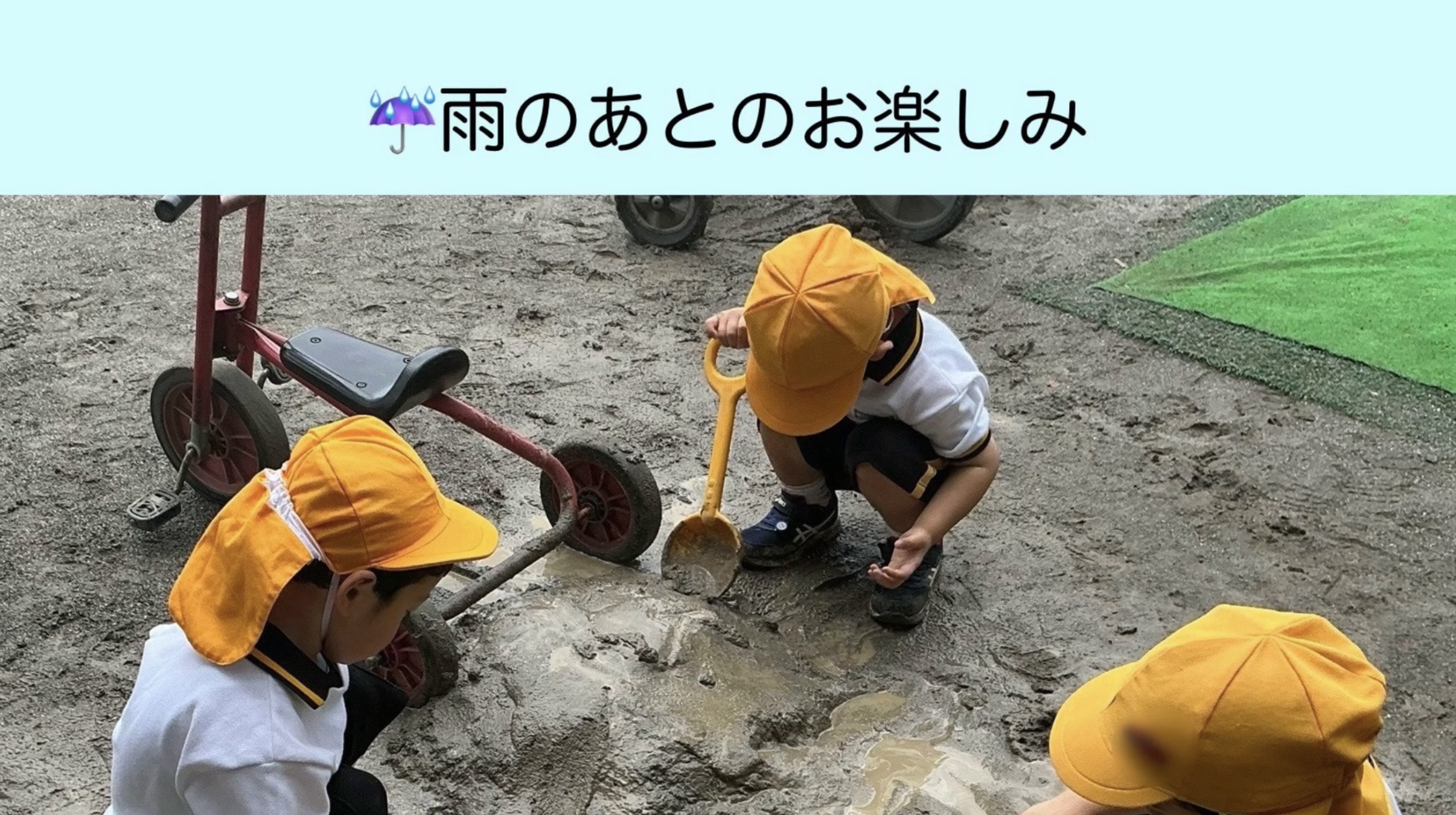 ☔雨のあとのお楽しみ