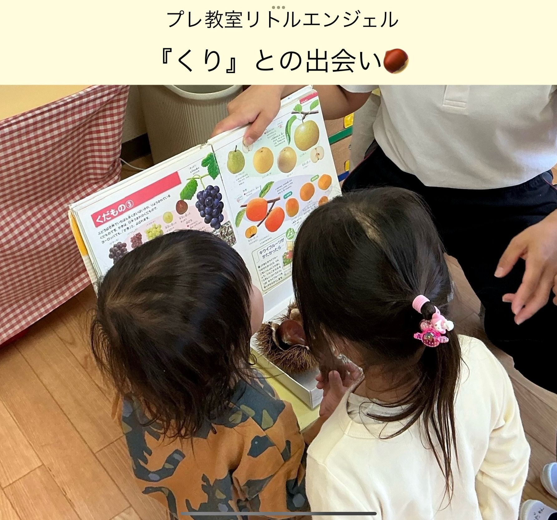 ץҥȥ륨󥸥롿꡻Ȥγᤤ?