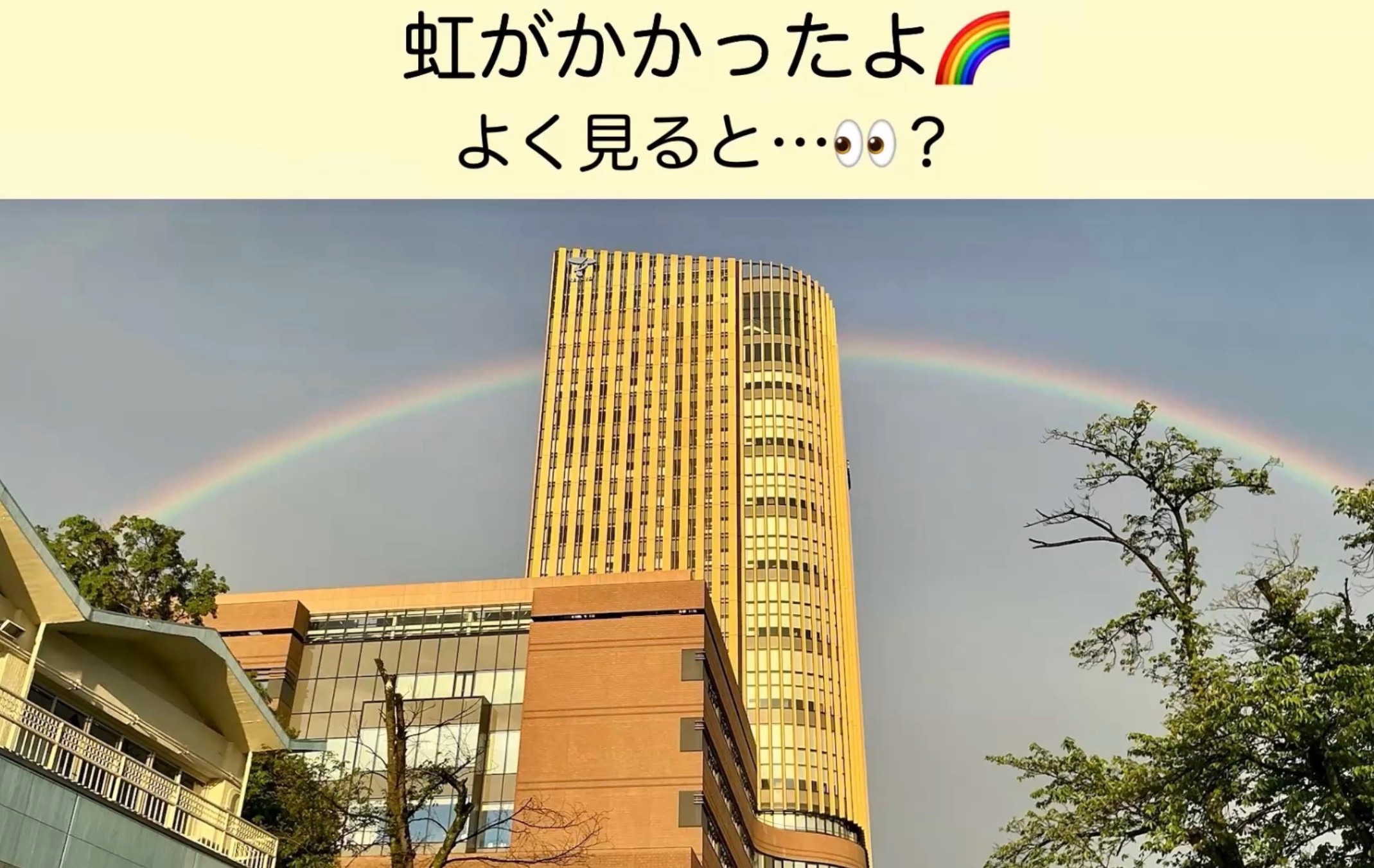 にじがかかったよ🌈よく見ると・・・？！
