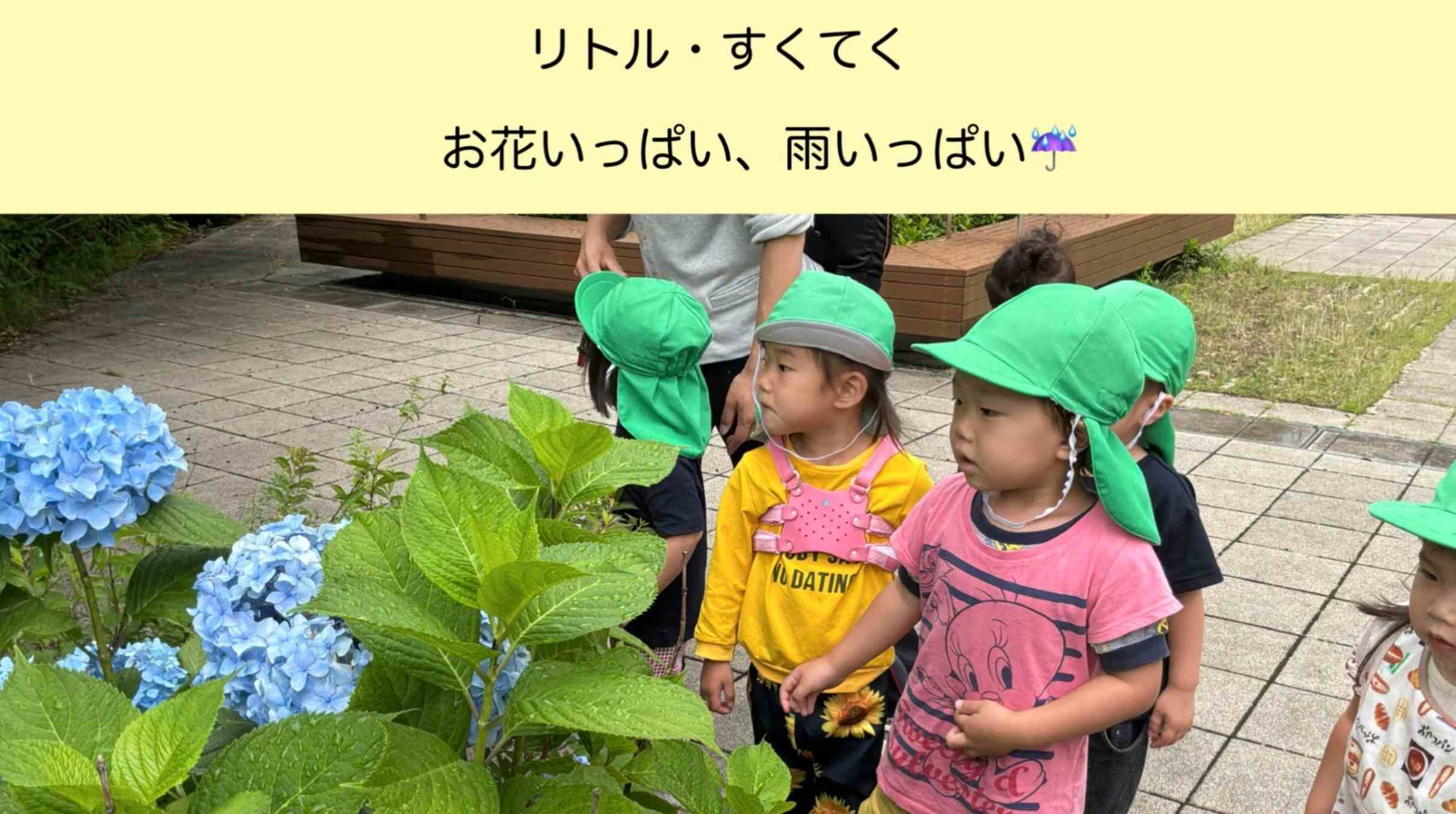 【リトルエンジェル】お花いっぱい、あめいっぱい☔