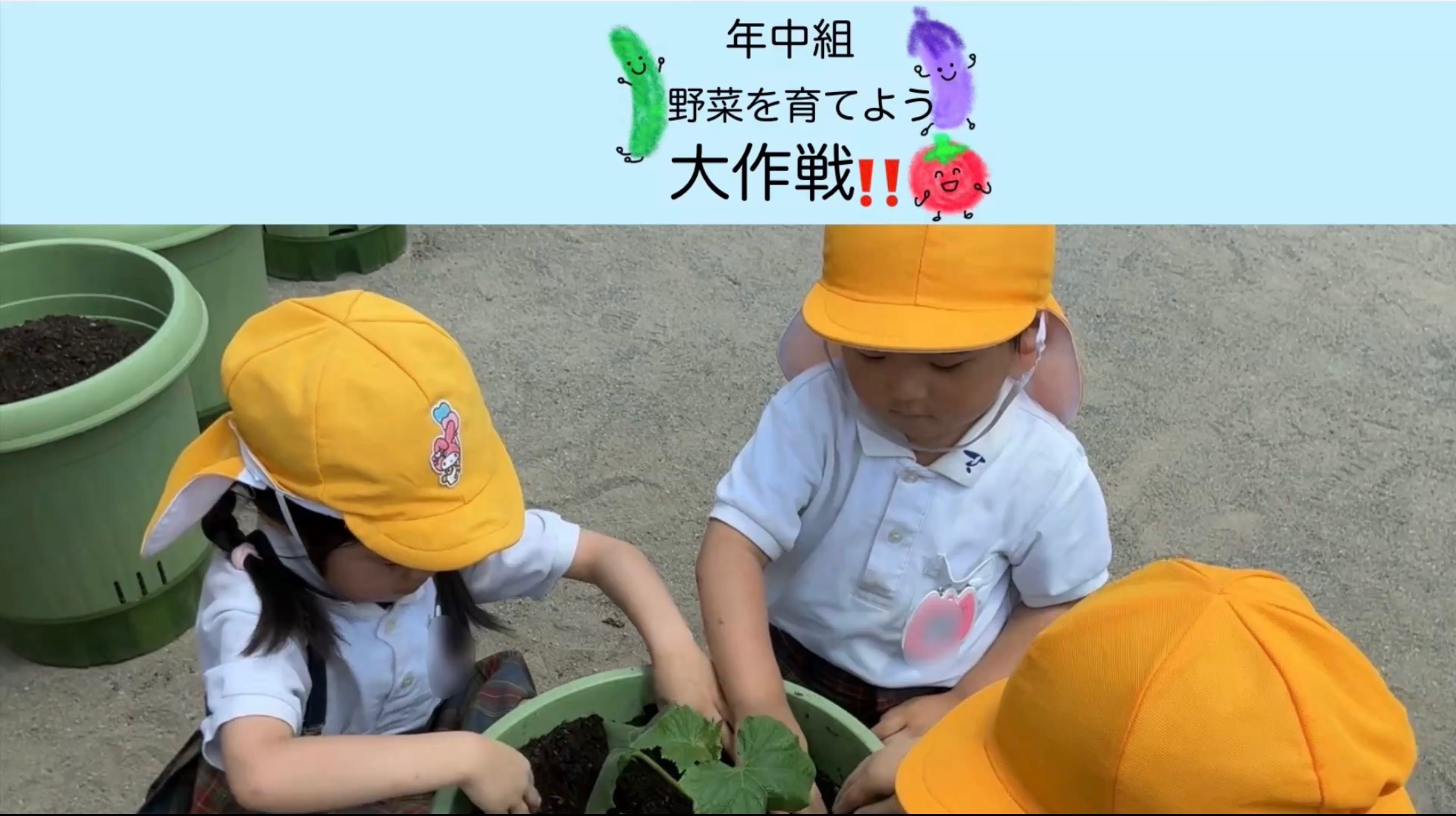 【年中組】野菜を育てよう大作戦！！