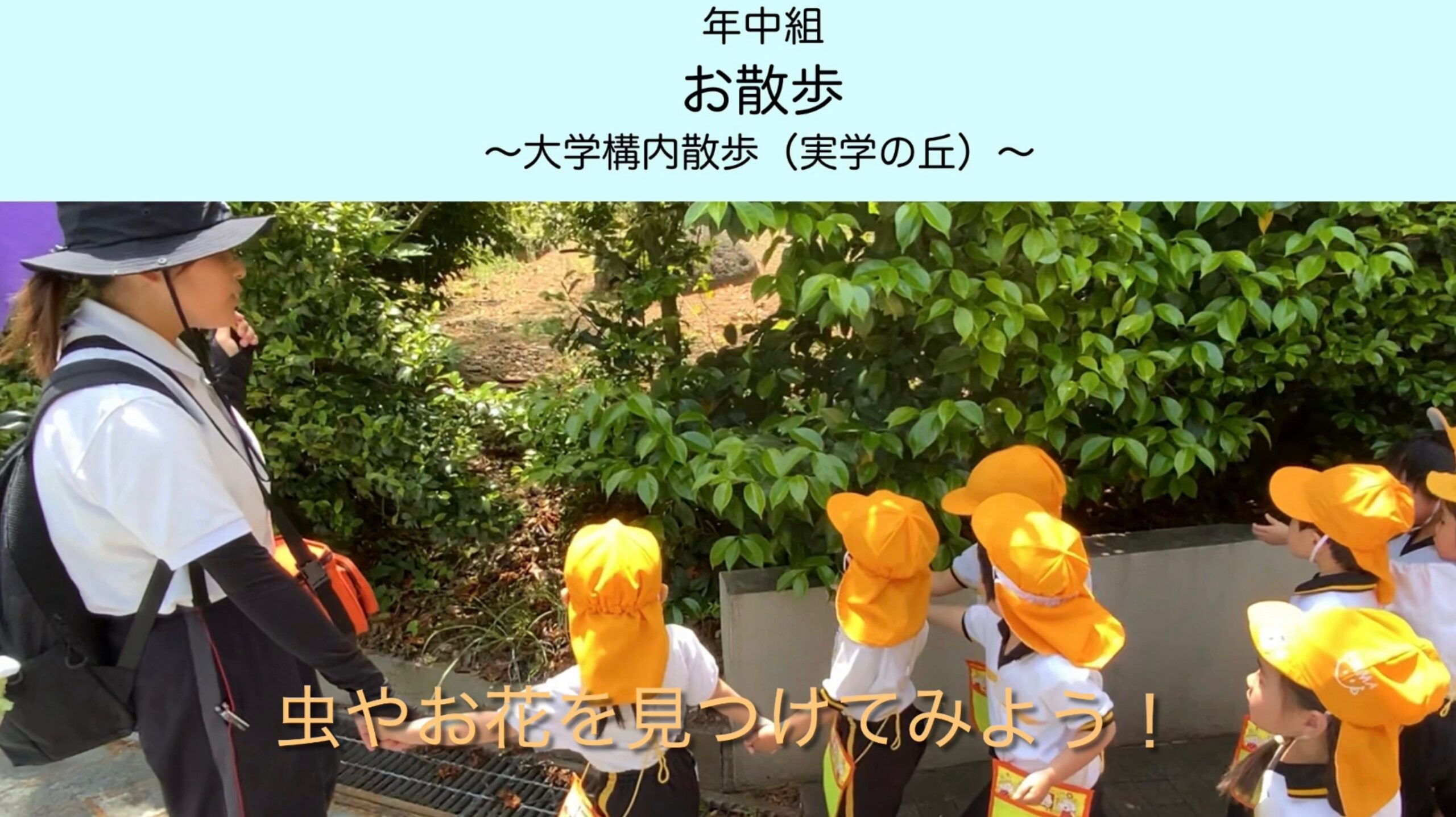 【年中組】お散歩～大学構内散歩（実学の丘）～