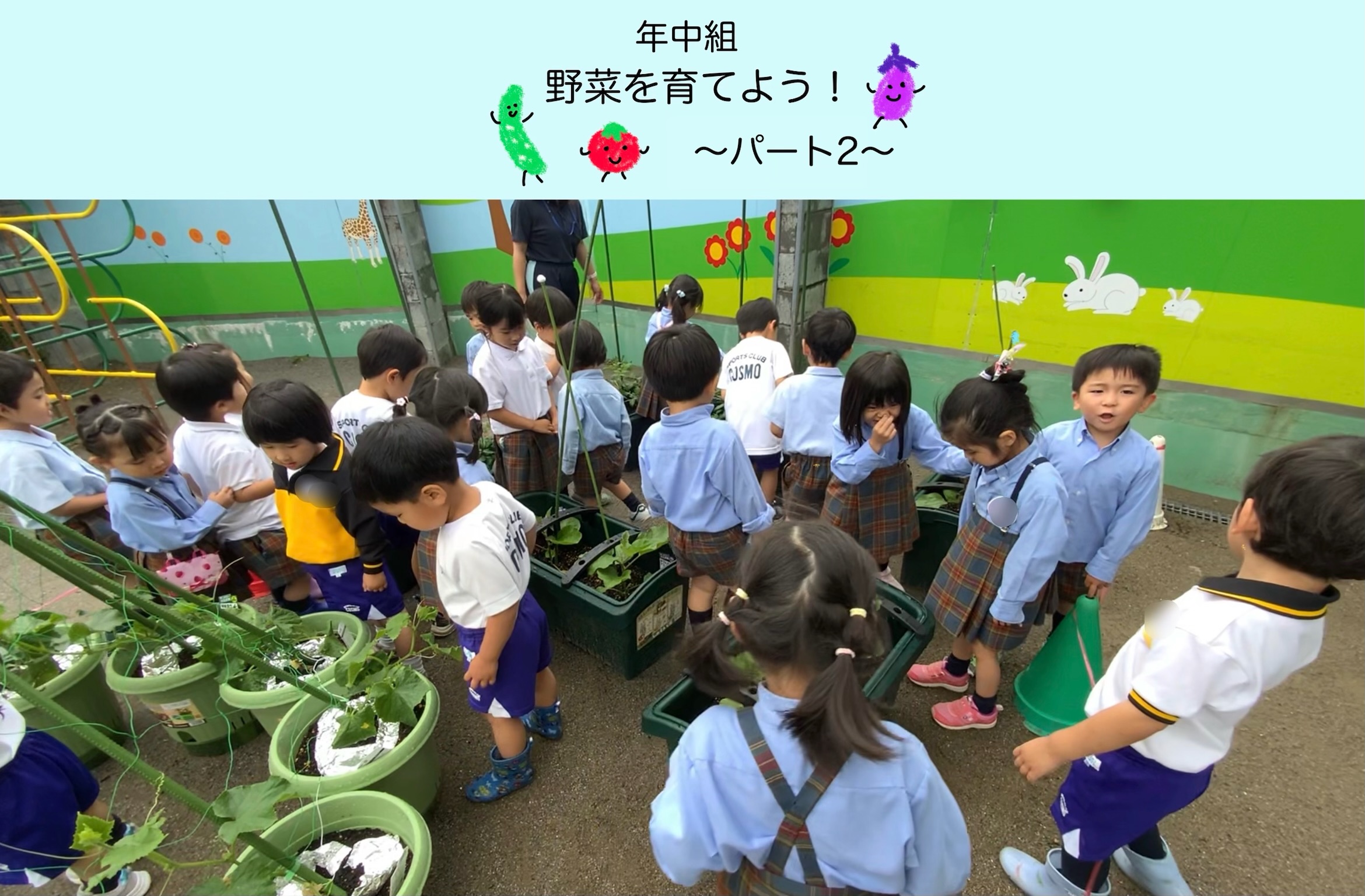 【年中組】野菜を育てよう大作戦！！②