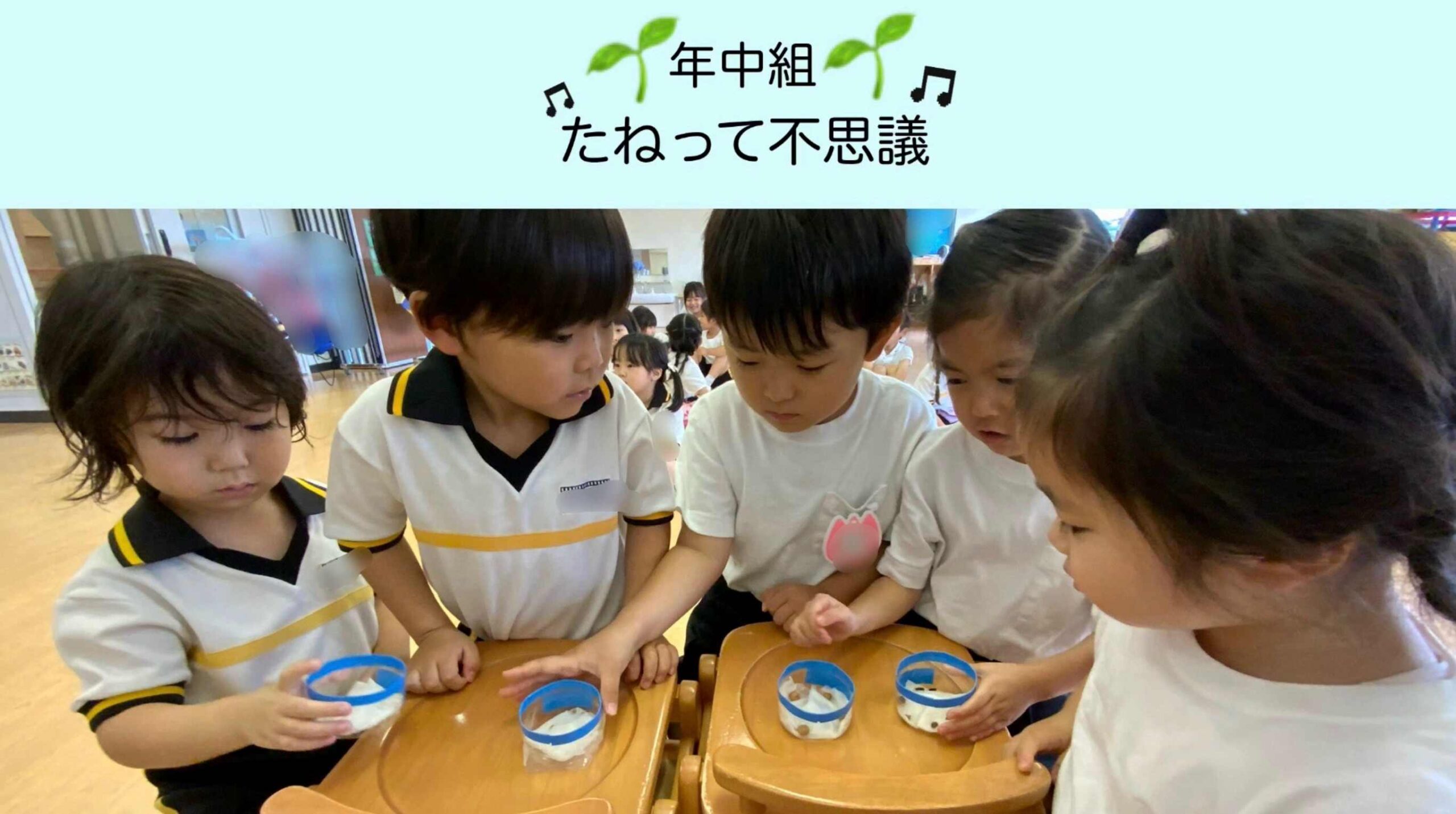 【年中組】たねって不思議！