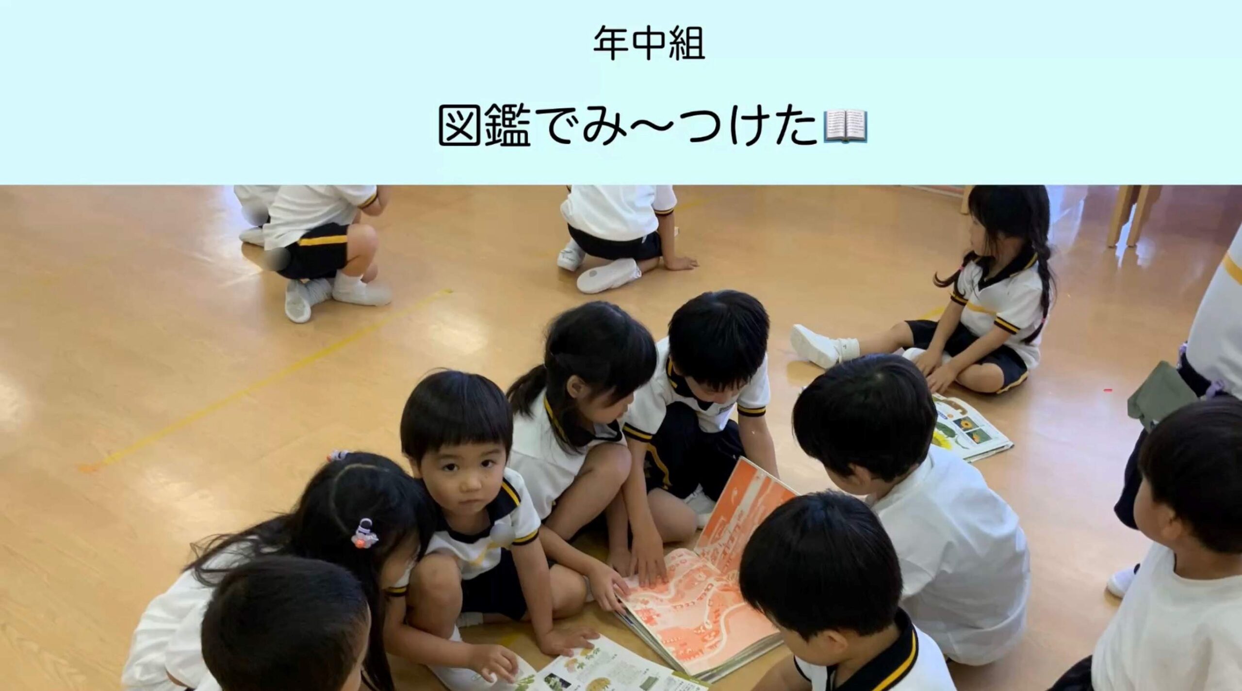 【年中組】図鑑でみ～つけた📙