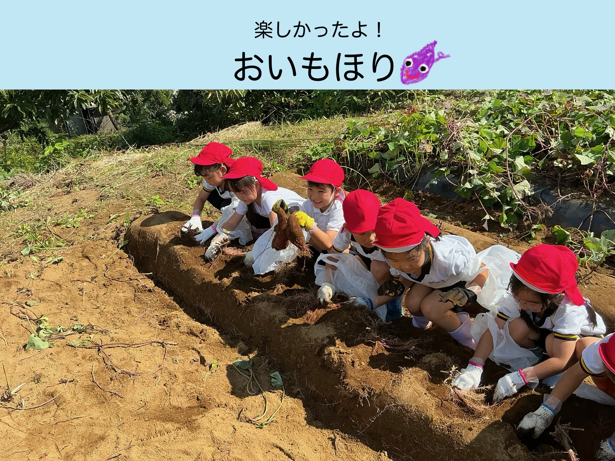 楽しかったよ！おいもほり🍠